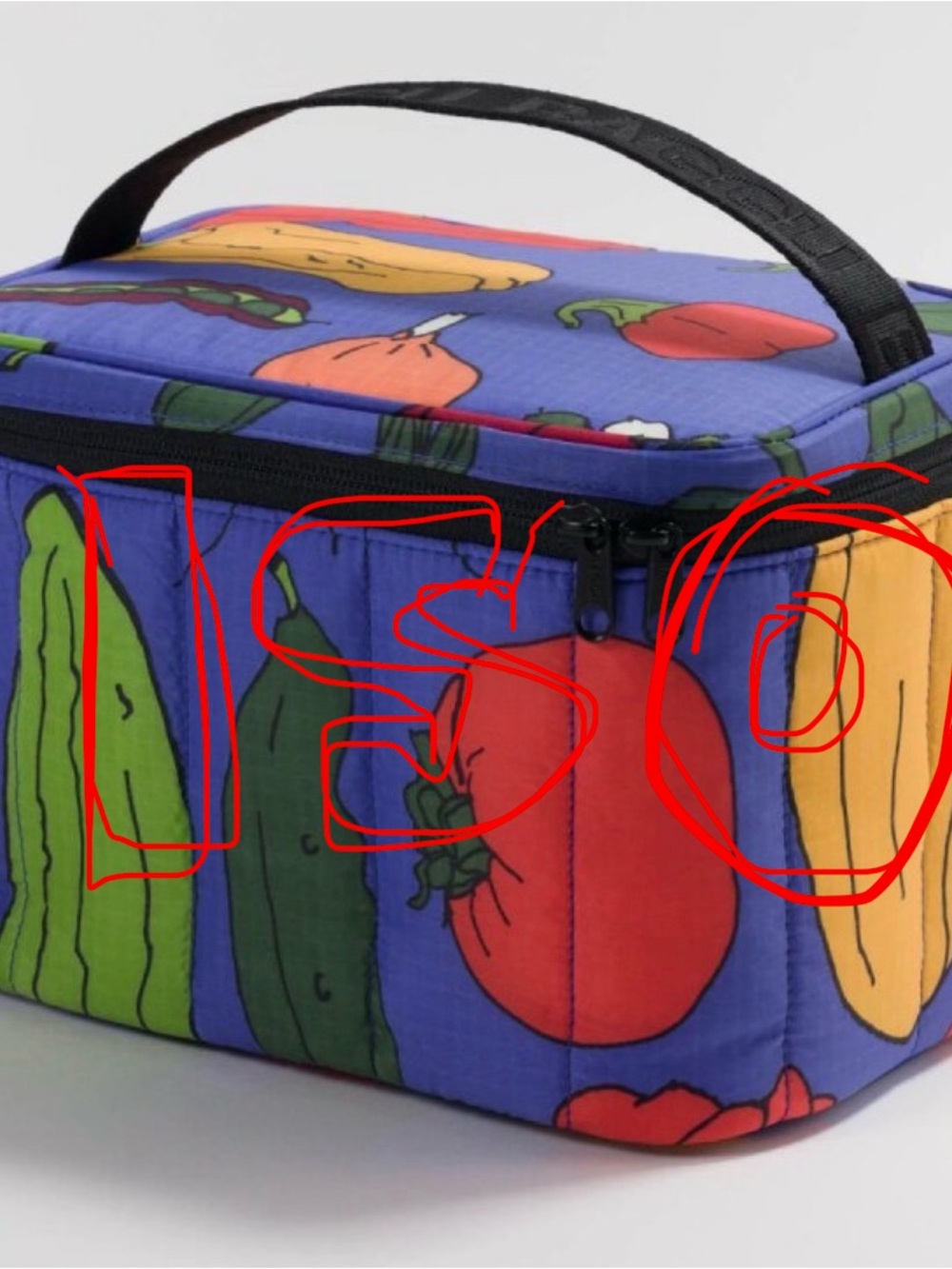 ISO Farmers Market Baggu Lunch Bag